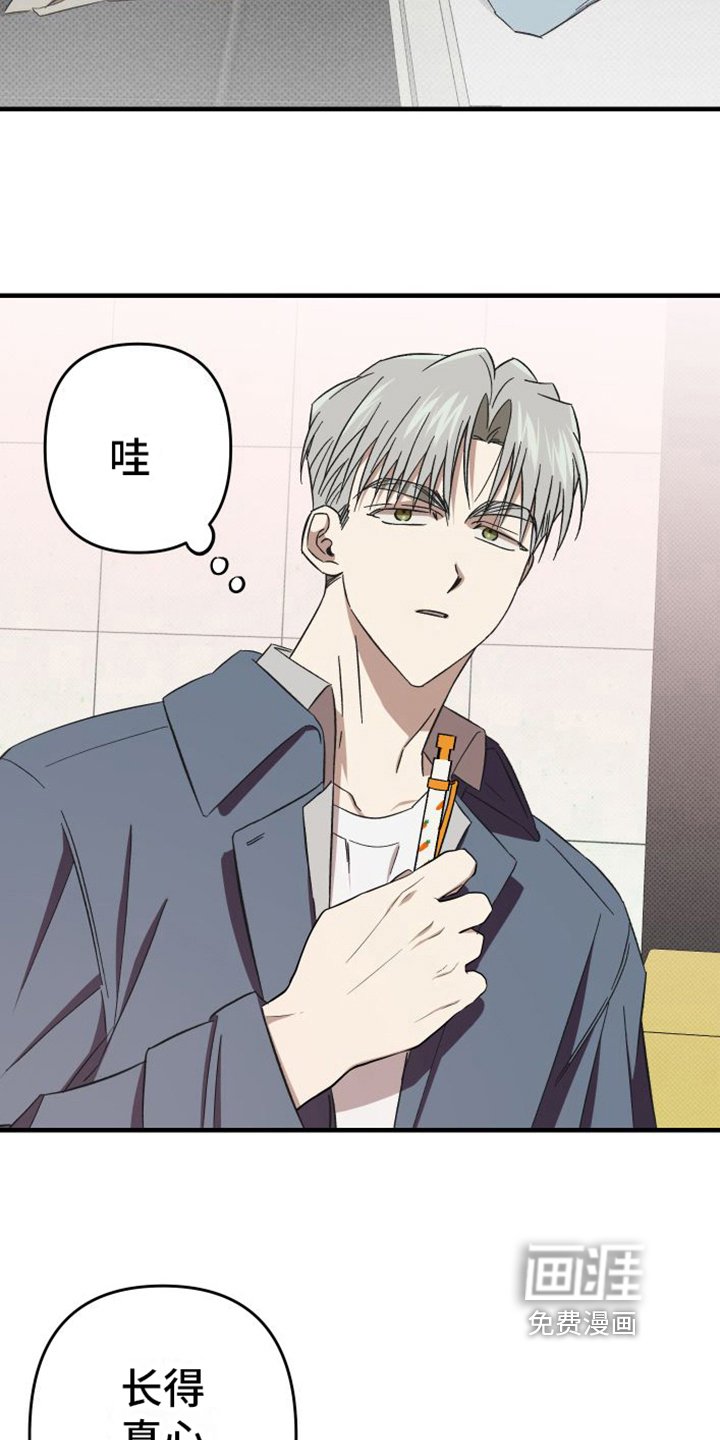 第12章：爱好