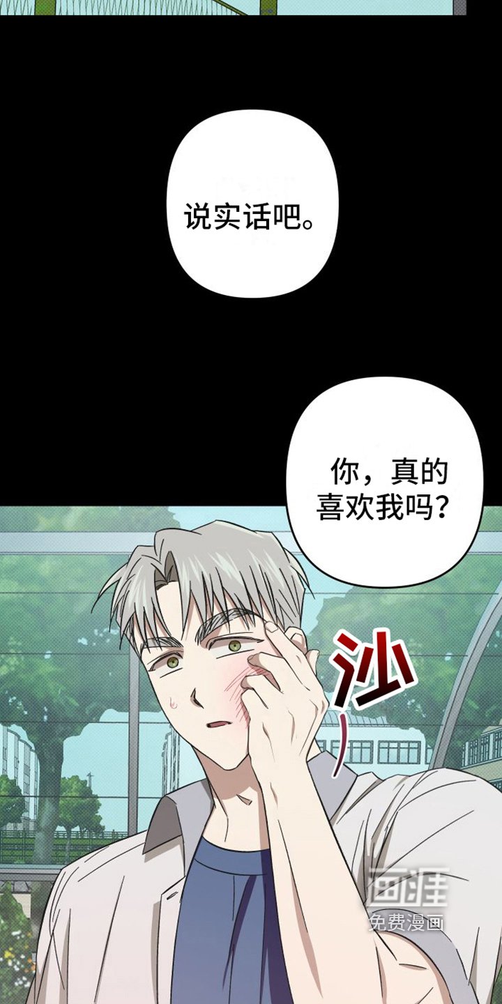 第12章：爱好