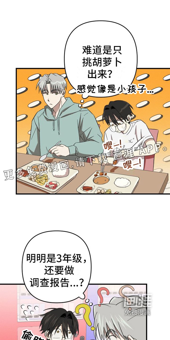 第14章：道歉