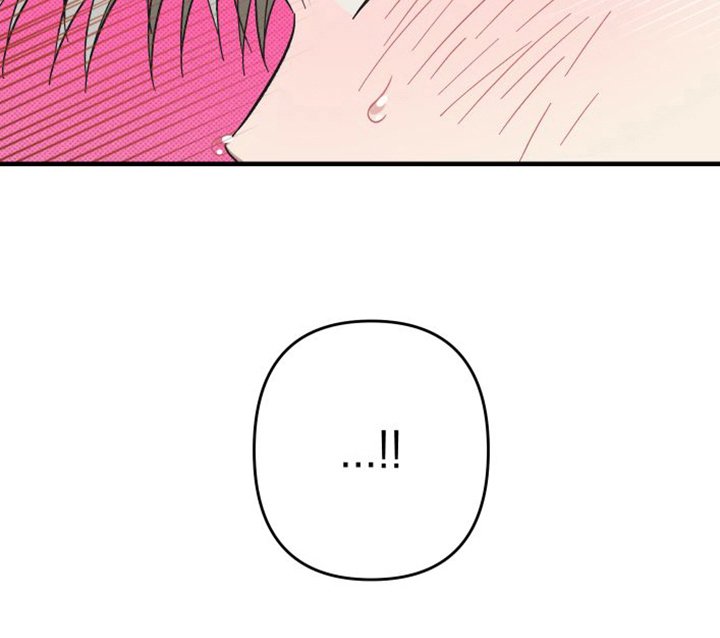 第14章：道歉