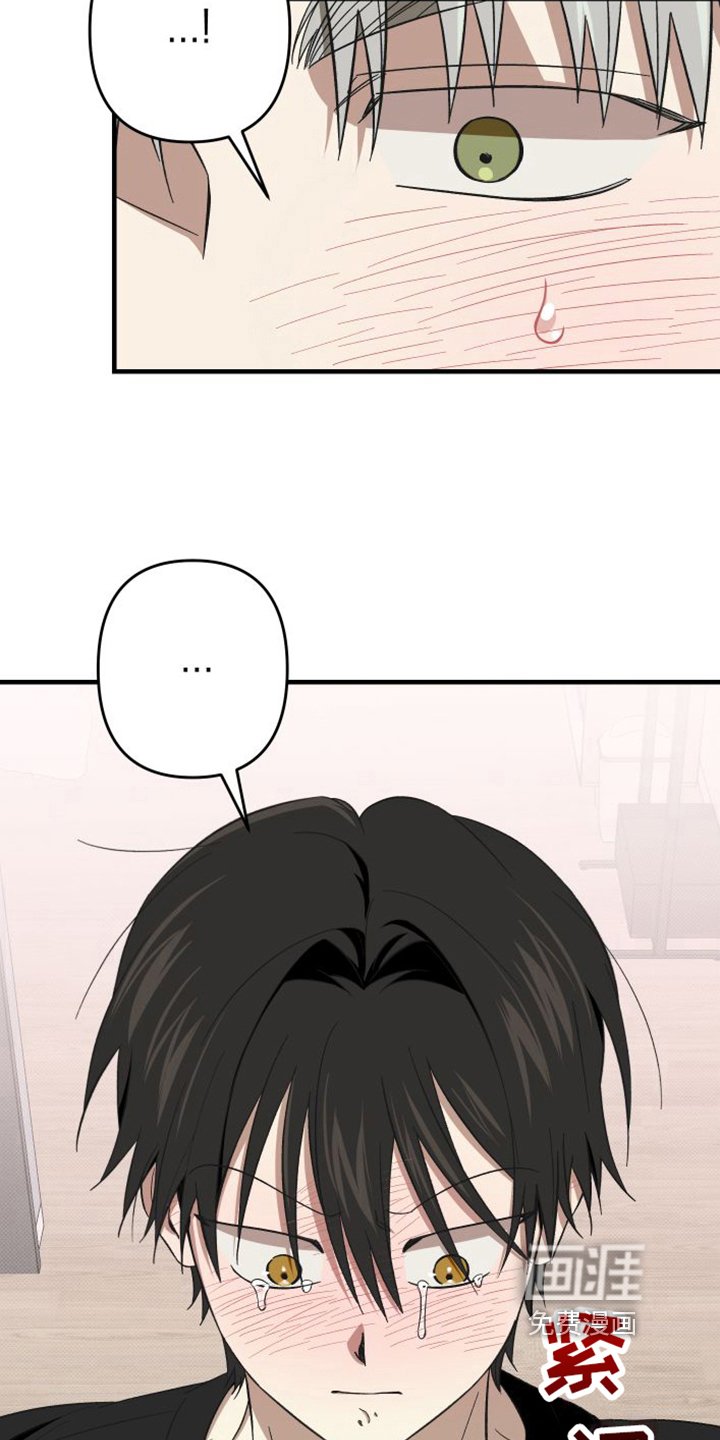 第15章：原谅