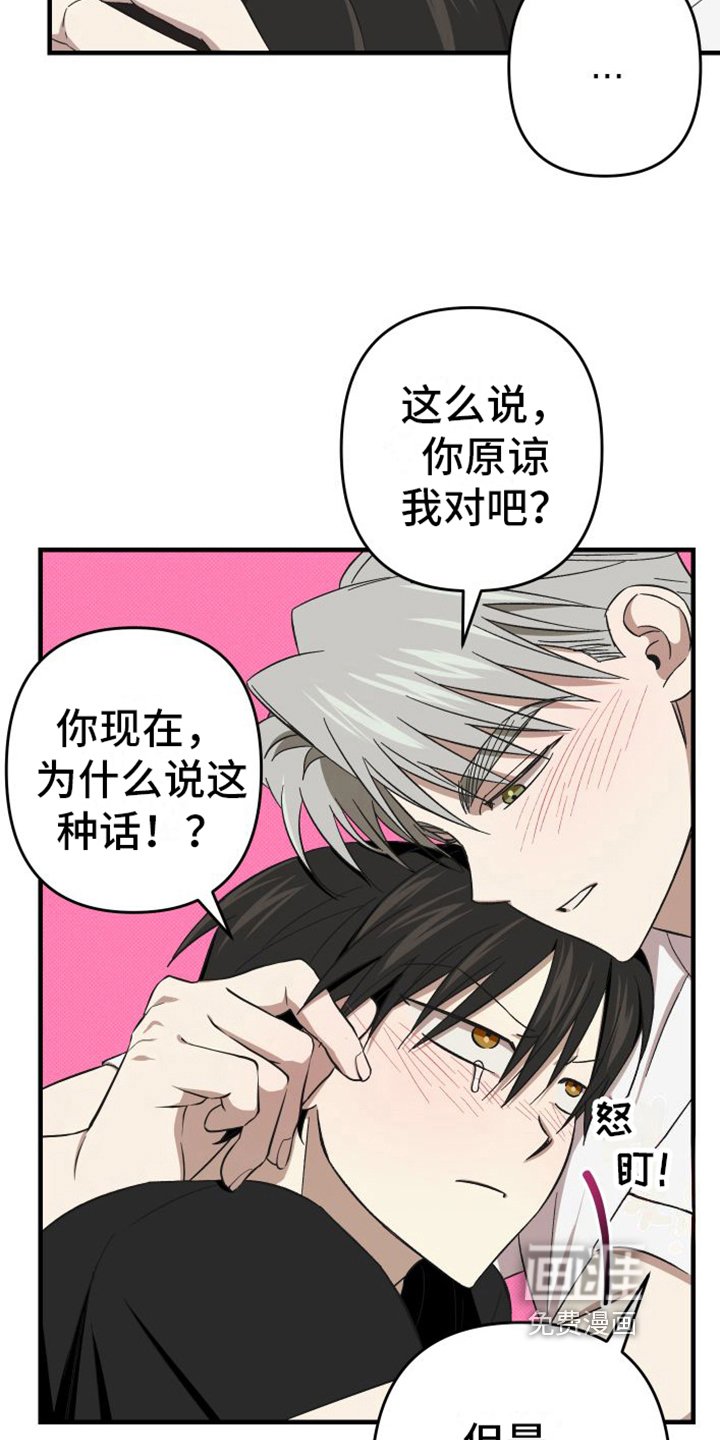 第15章：原谅