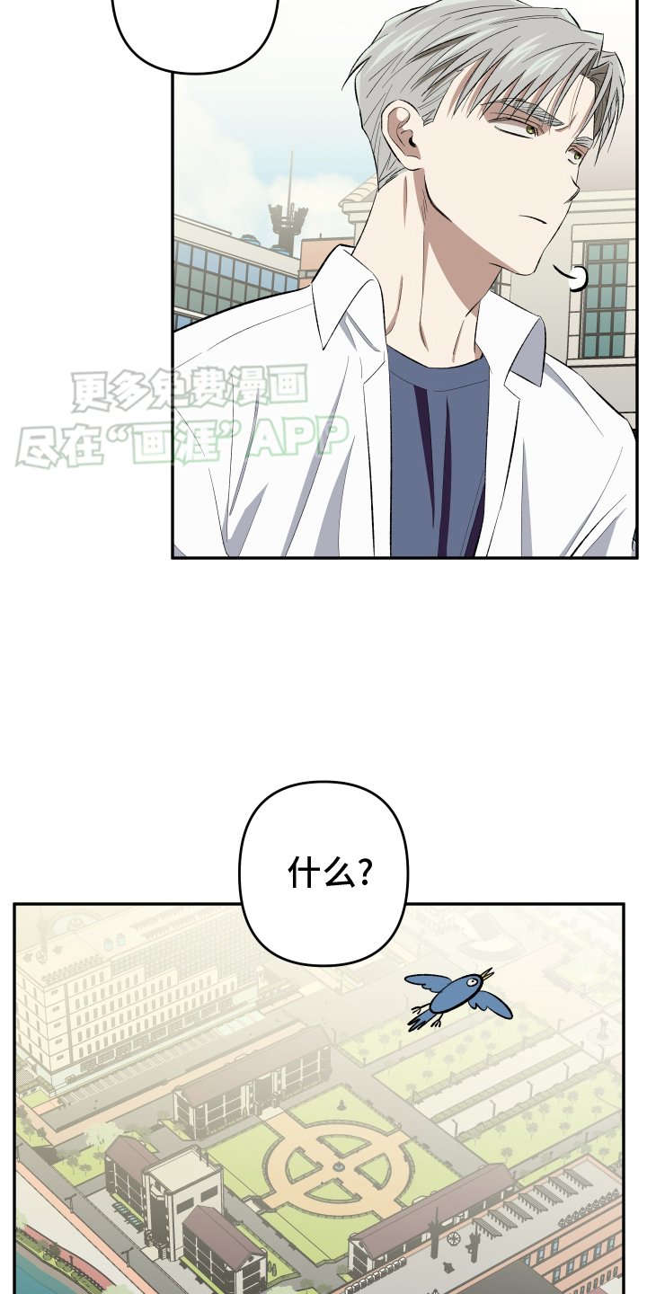 第20章：【番外】相遇