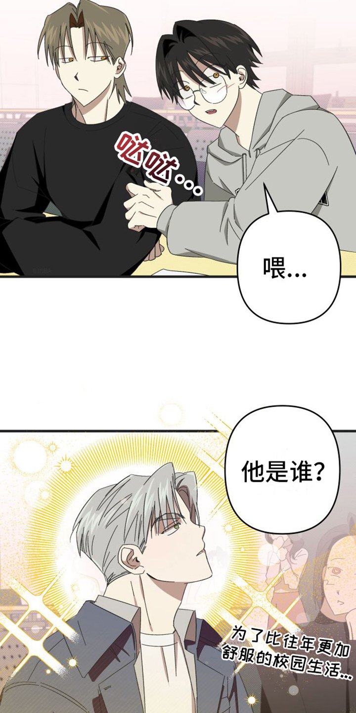 第3章：可爱