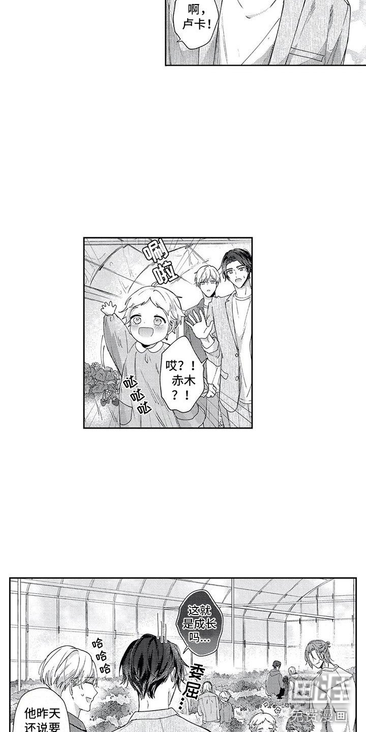 第12章：不想计较