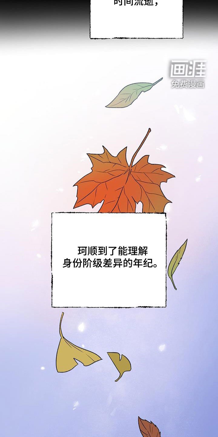 第29章：身份差异