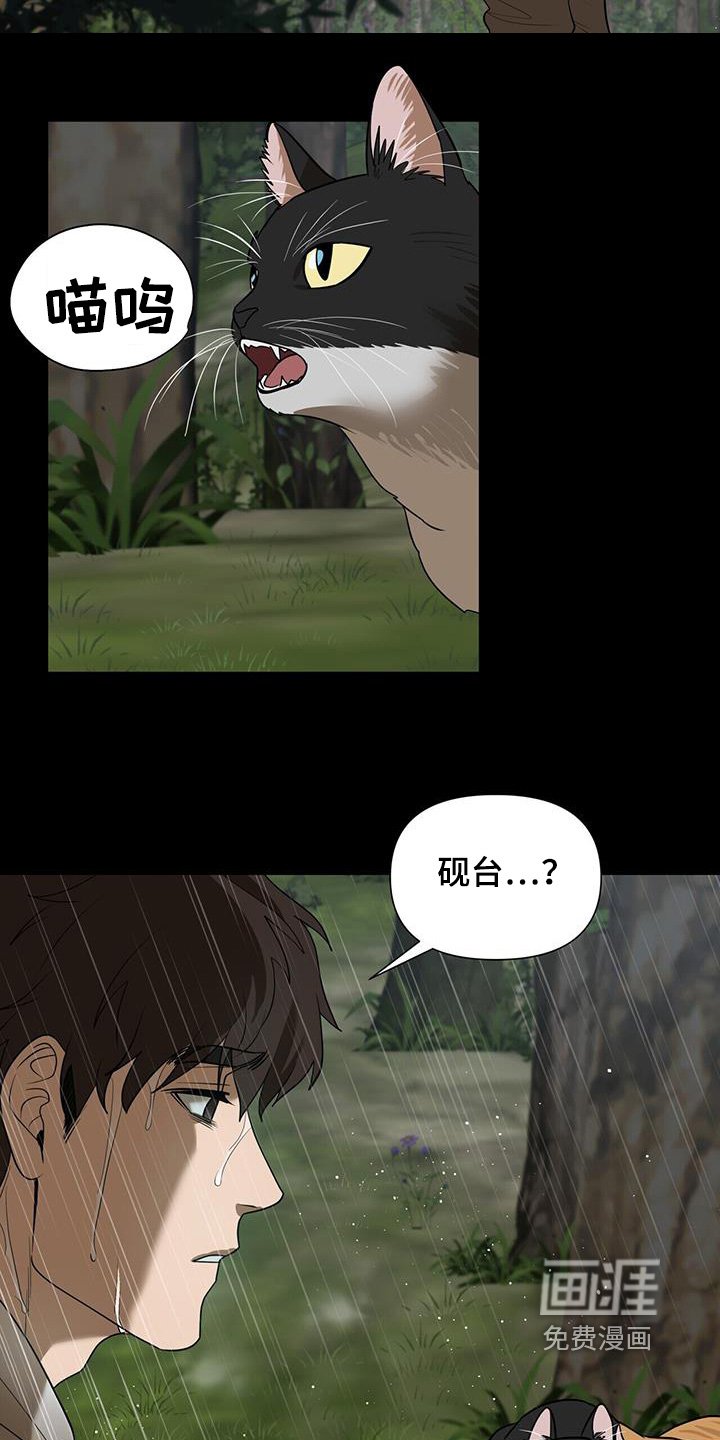 第74章：【第二季】去哪里了