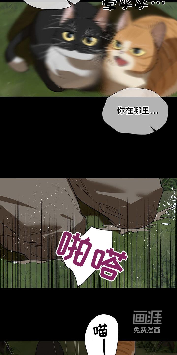 第74章：【第二季】去哪里了