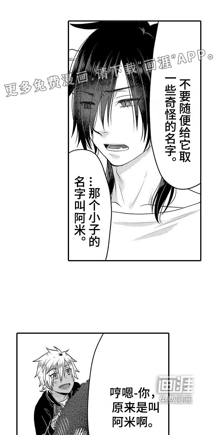 第10章：吩咐