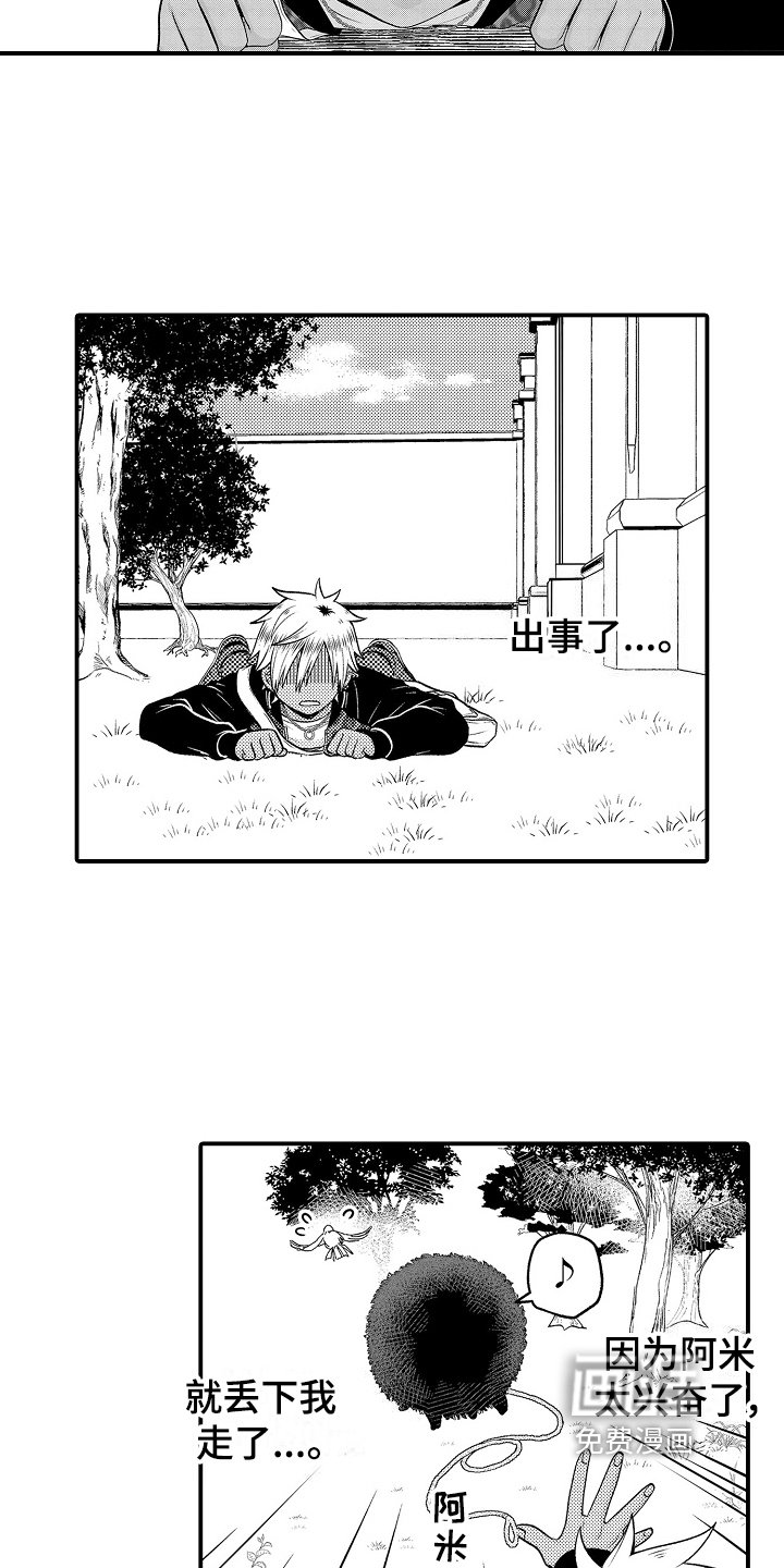 第18章：散步