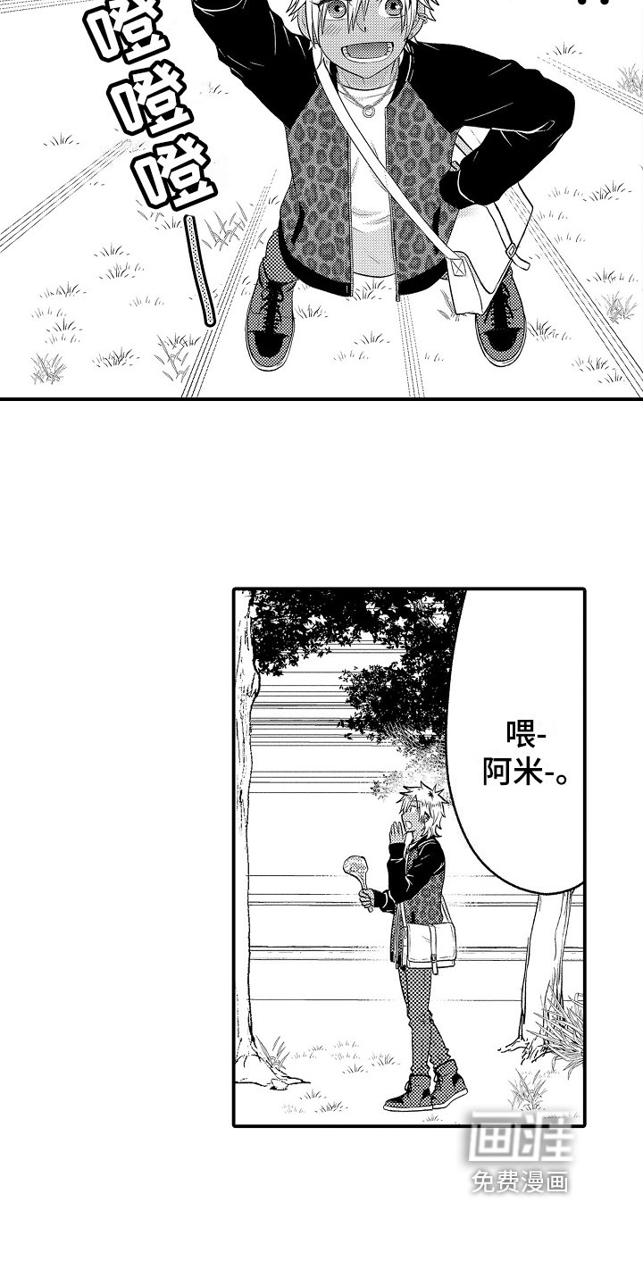 第18章：散步