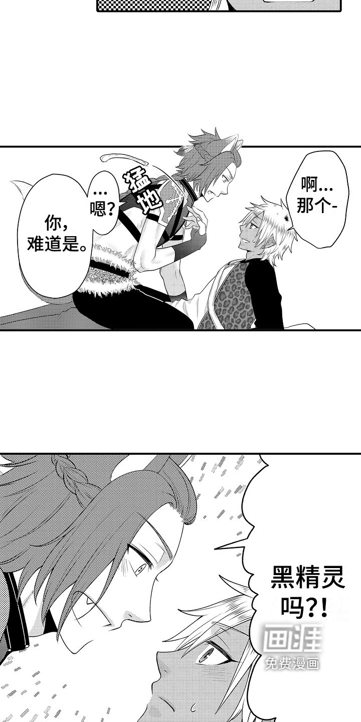 第19章：朋友