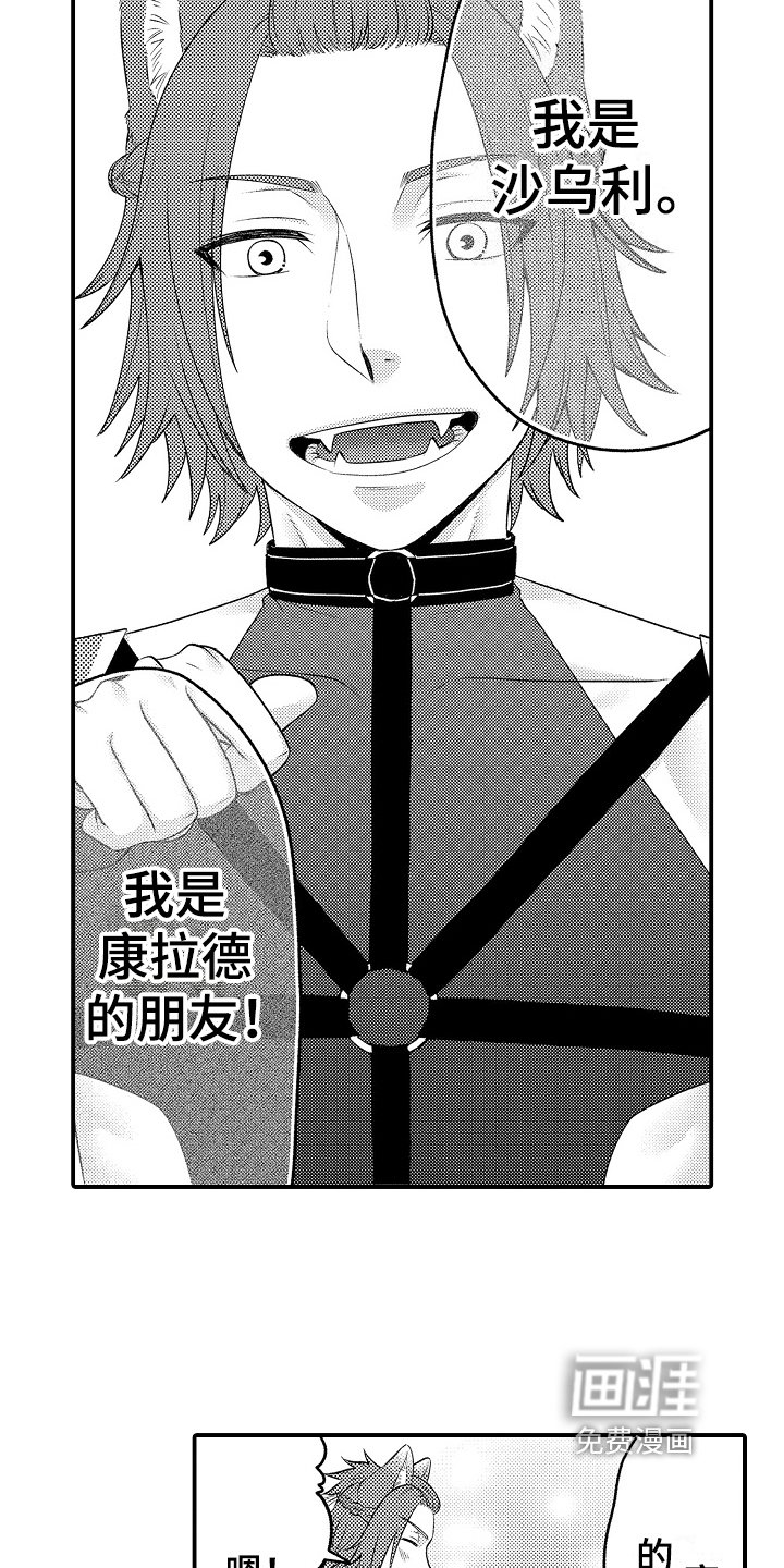 第19章：朋友