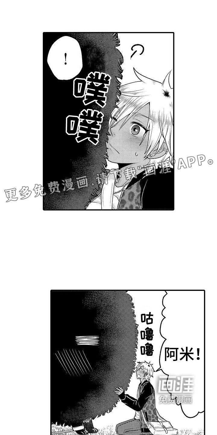 第20章：看望