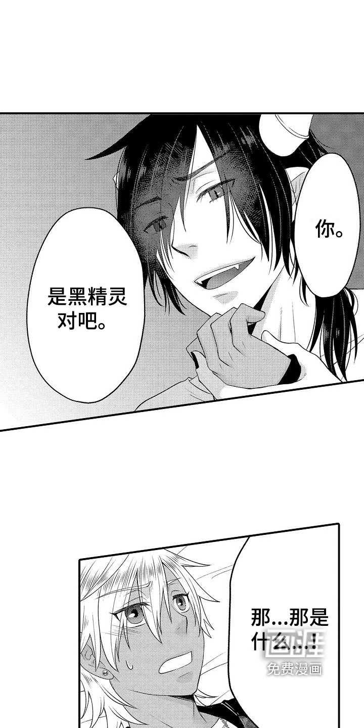 第6章：放肆