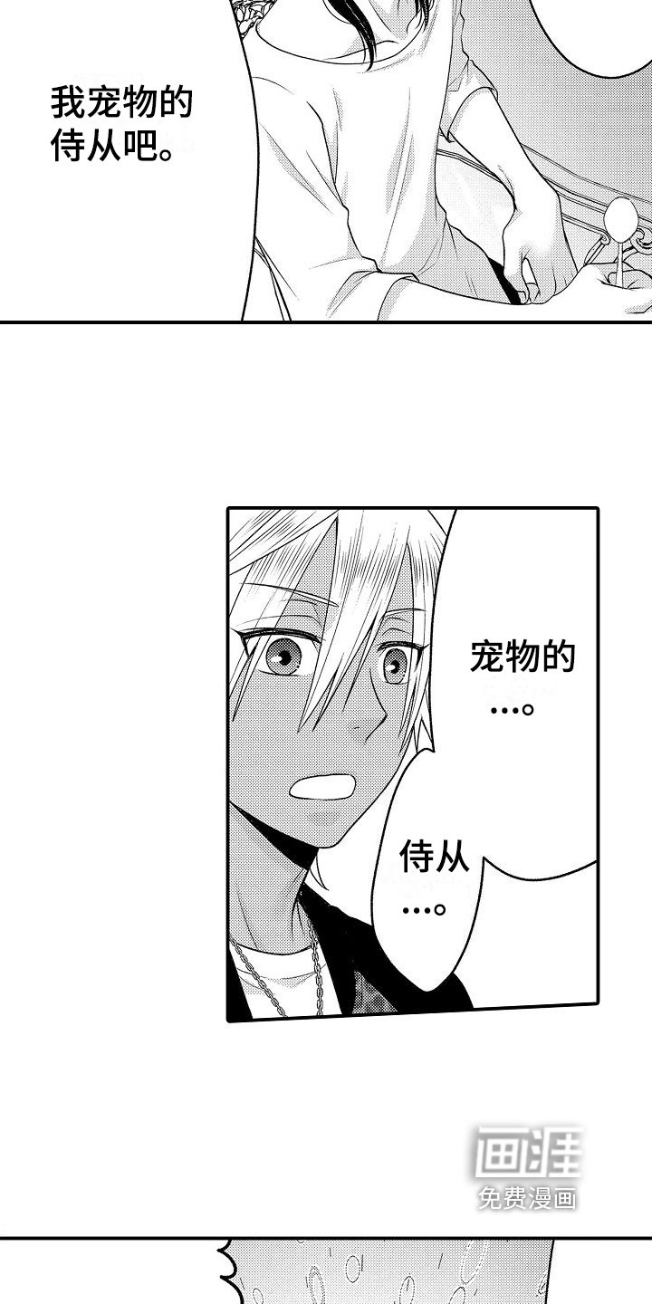 第9章：宠物