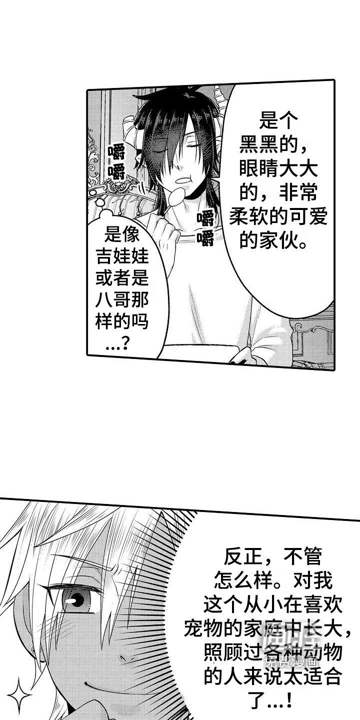 第9章：宠物
