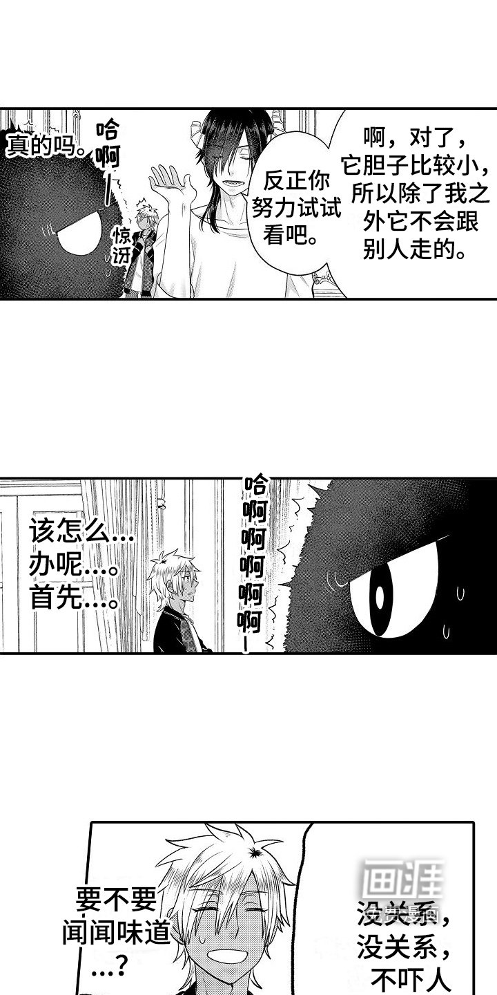 第9章：宠物