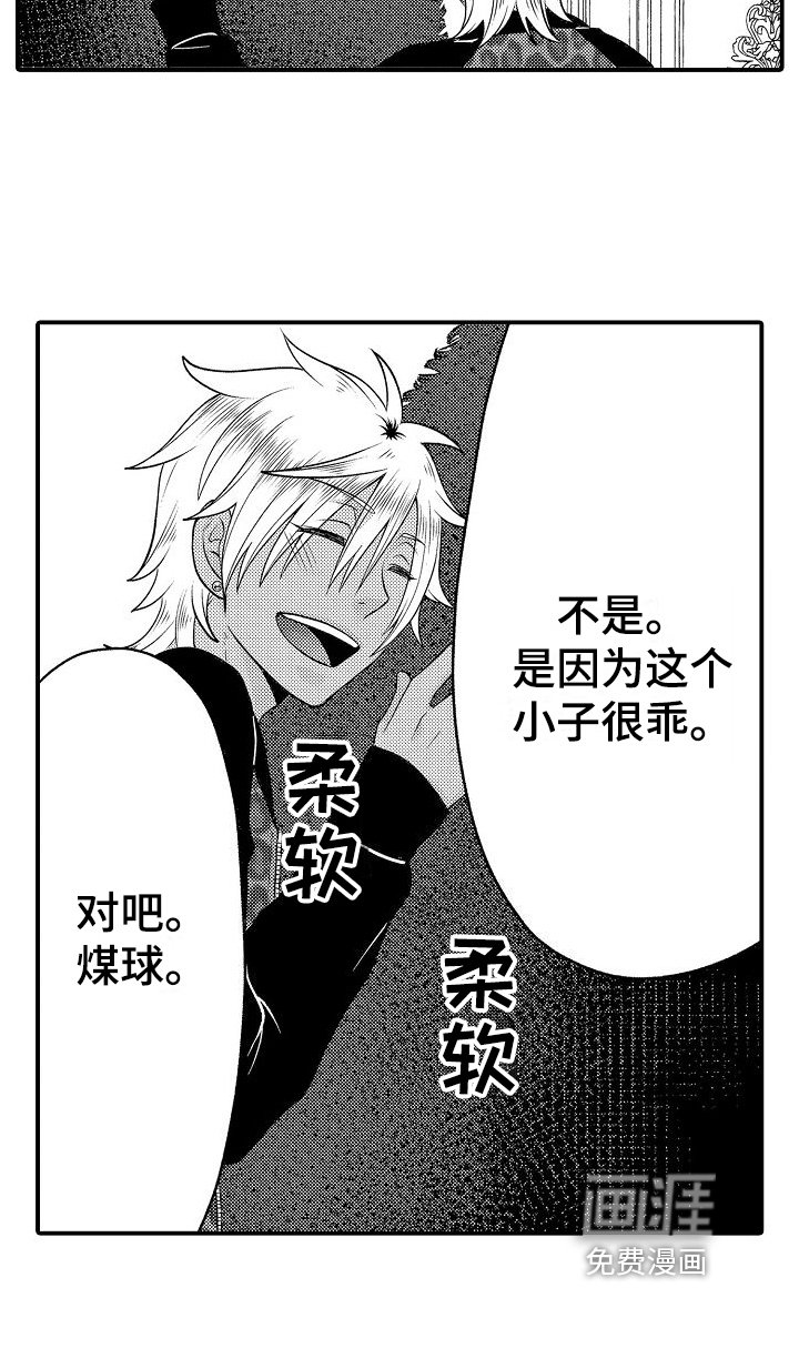 第9章：宠物