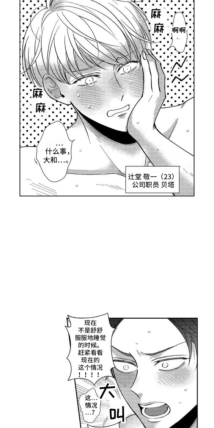 第1章：免费体验