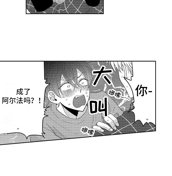 第15章：诊断结果 