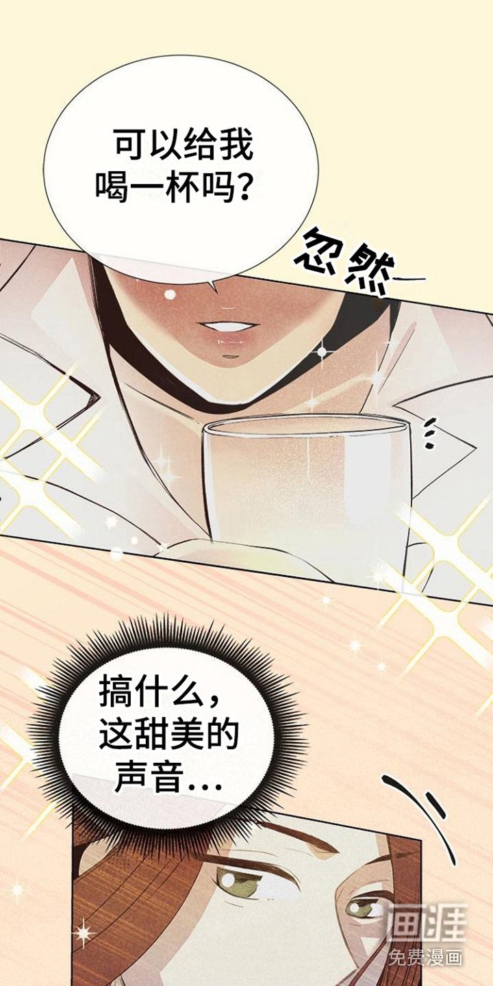 第5章： 理想型