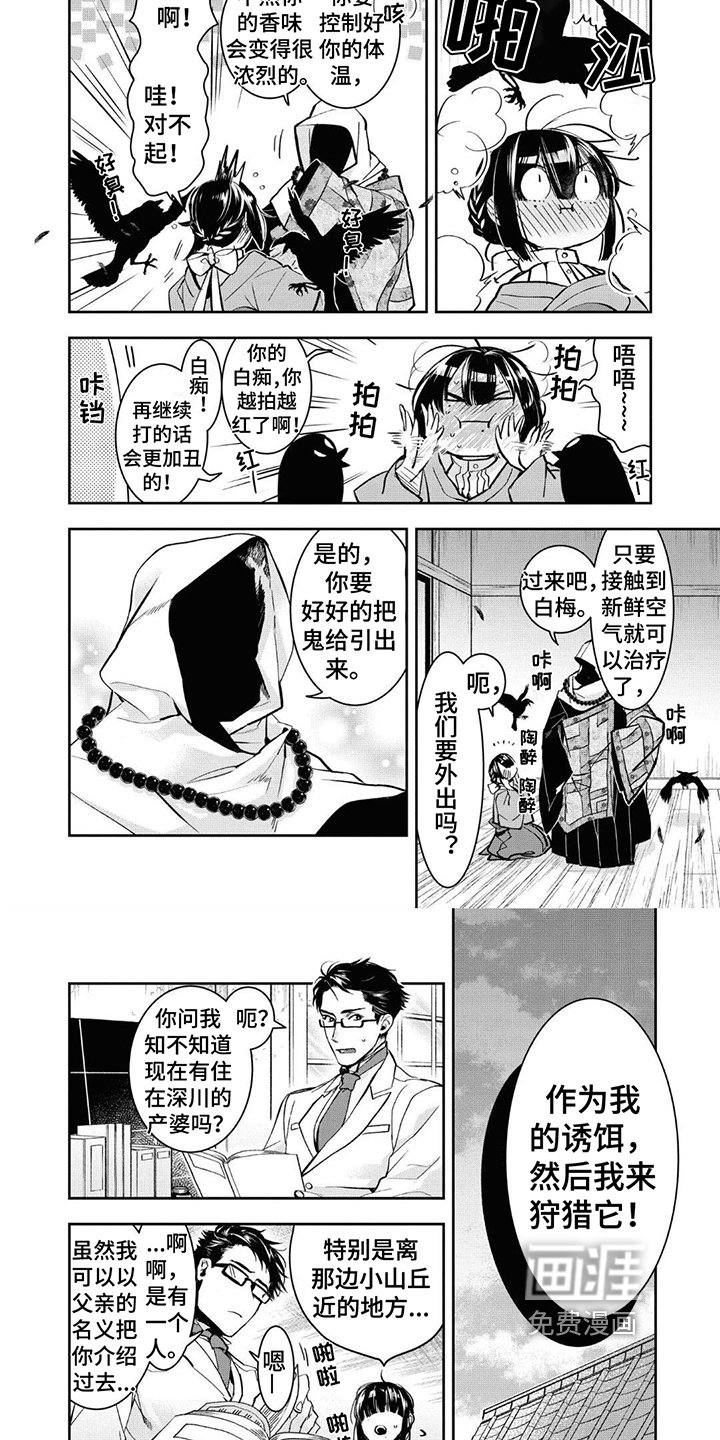 第11章：诱饵
