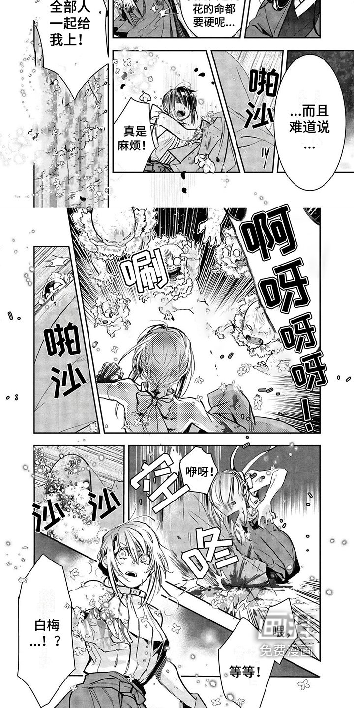 第14章：沈香