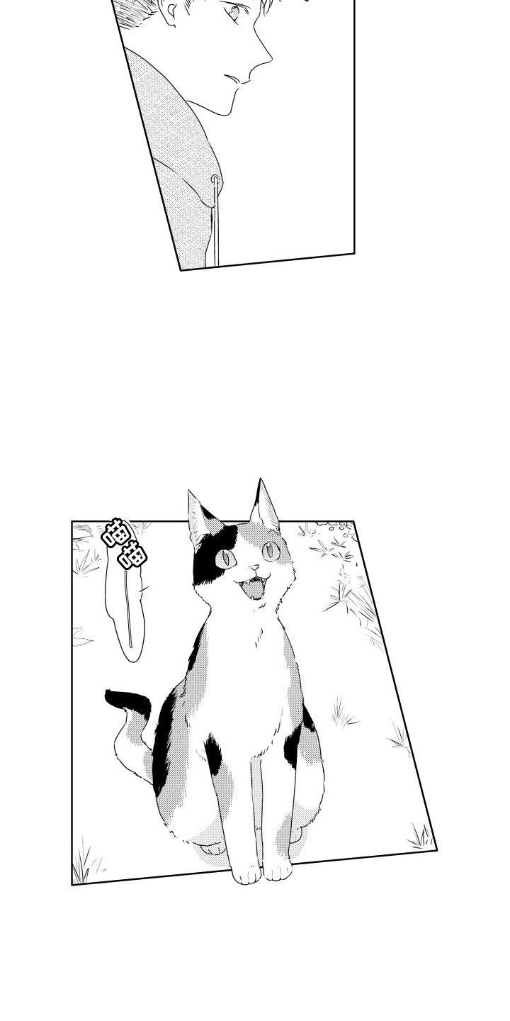 第1章：新来的