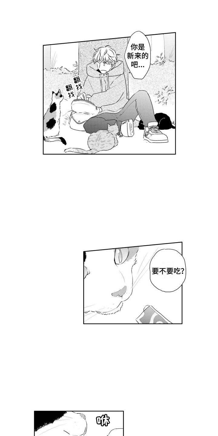 第1章：新来的