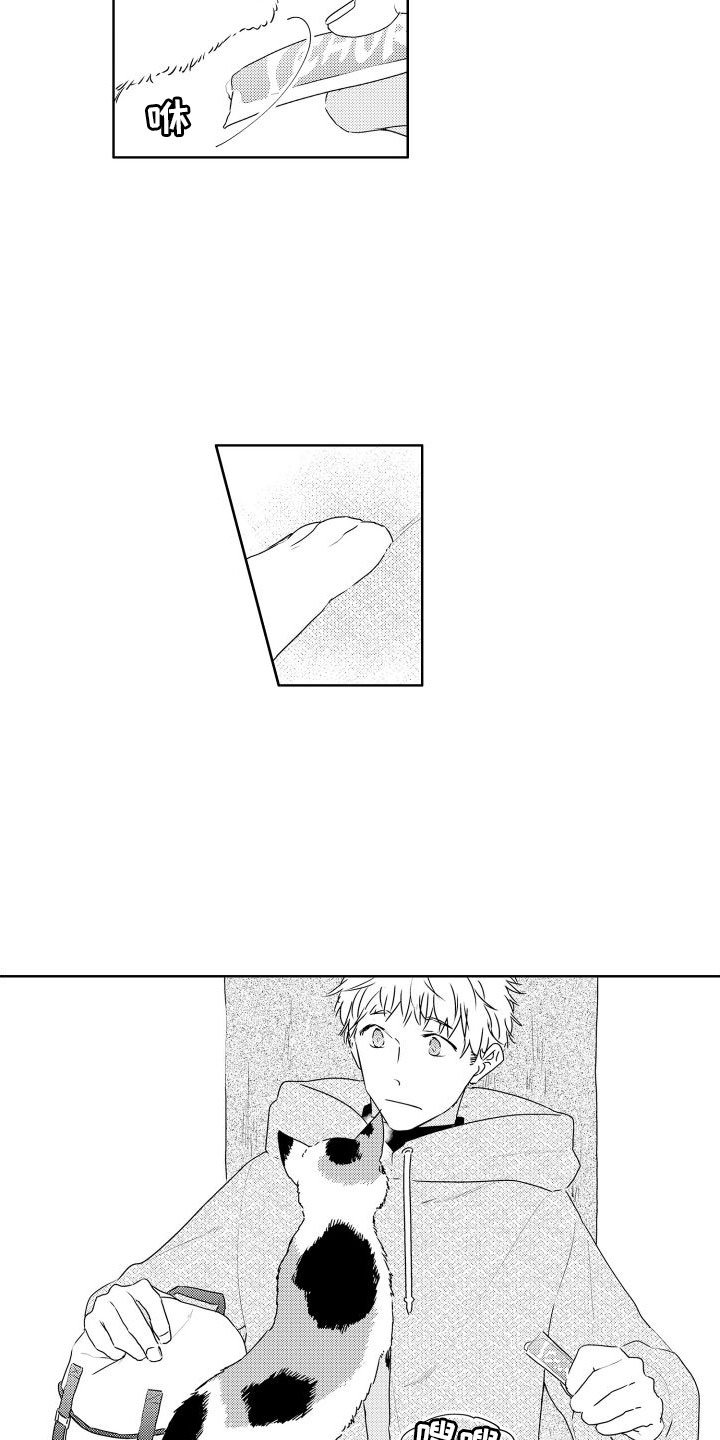 第1章：新来的
