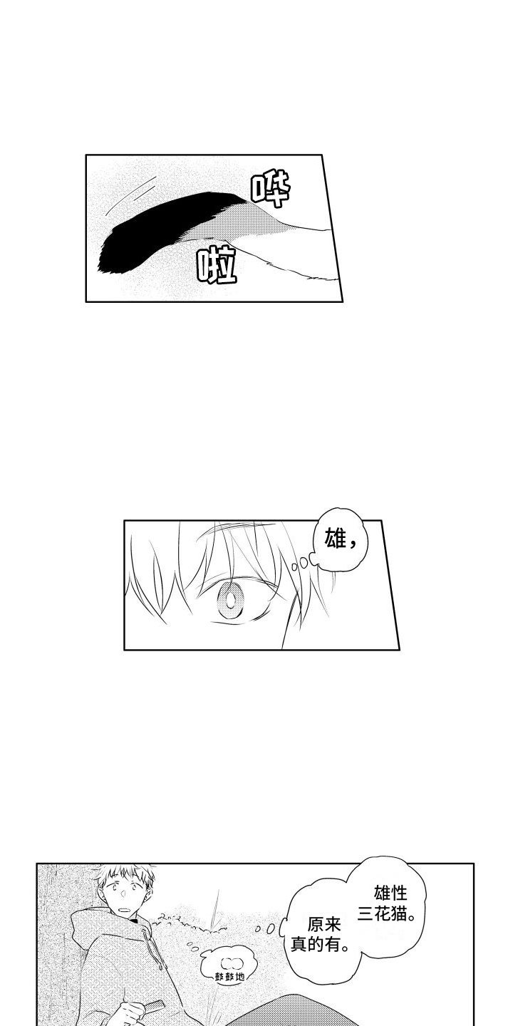 第1章：新来的