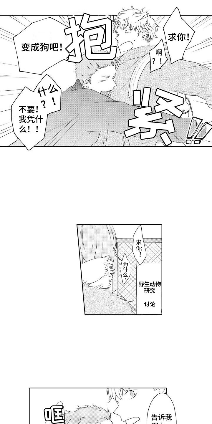 第1章：新来的
