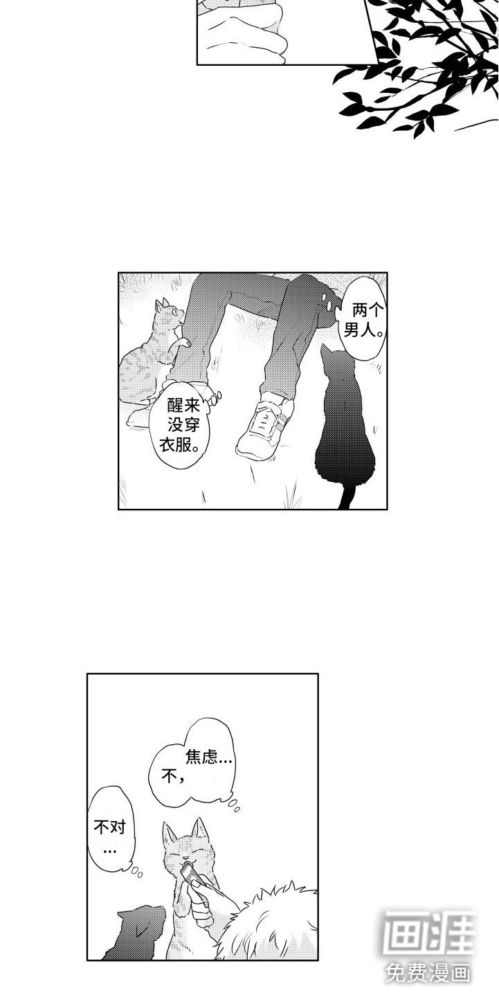 第12章：心乱