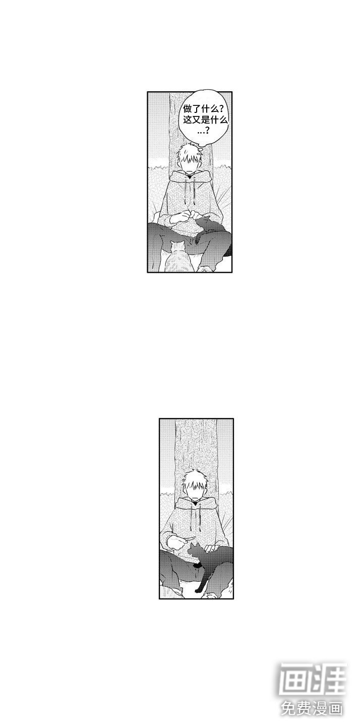 第13章：对他