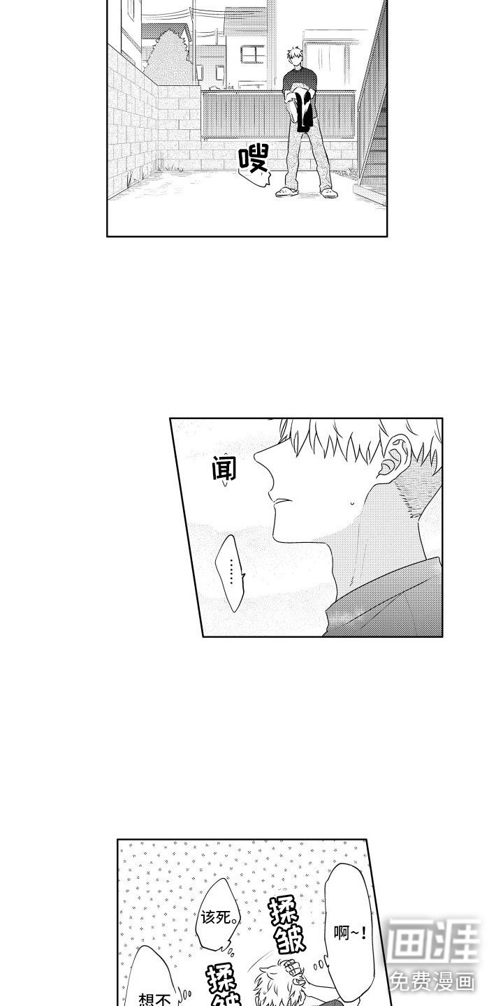 第17章：跑了
