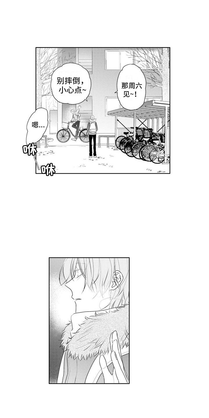 第3章：三花猫