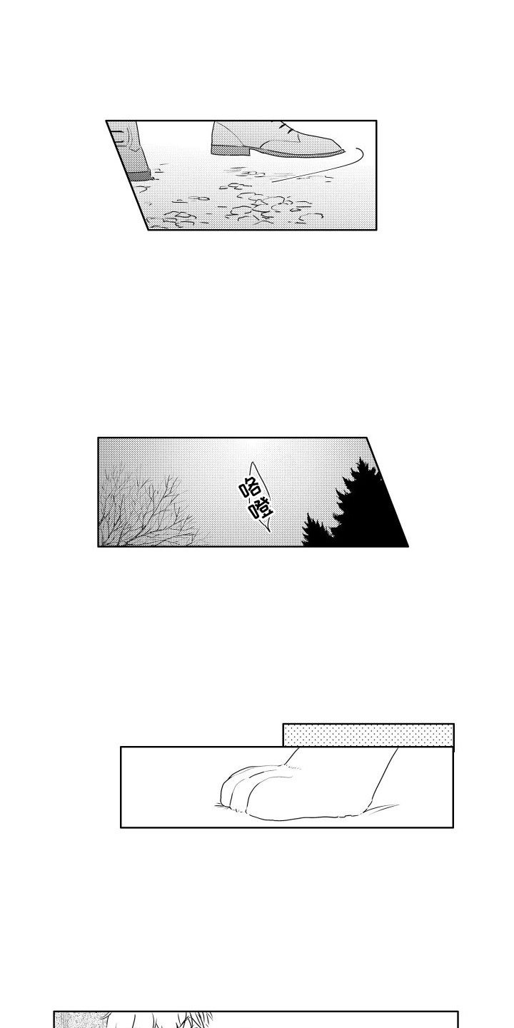 第3章：三花猫