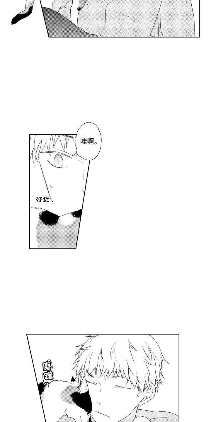 第3章：三花猫
