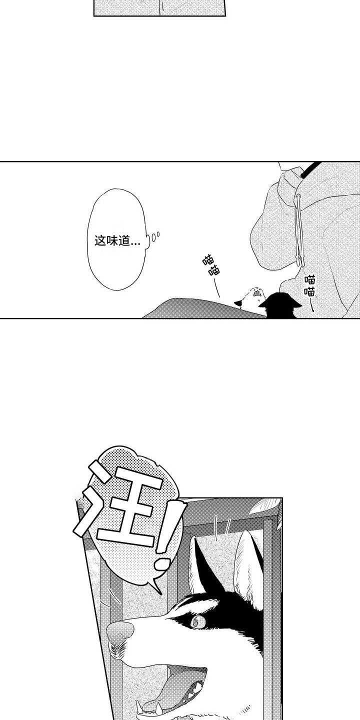 第3章：三花猫