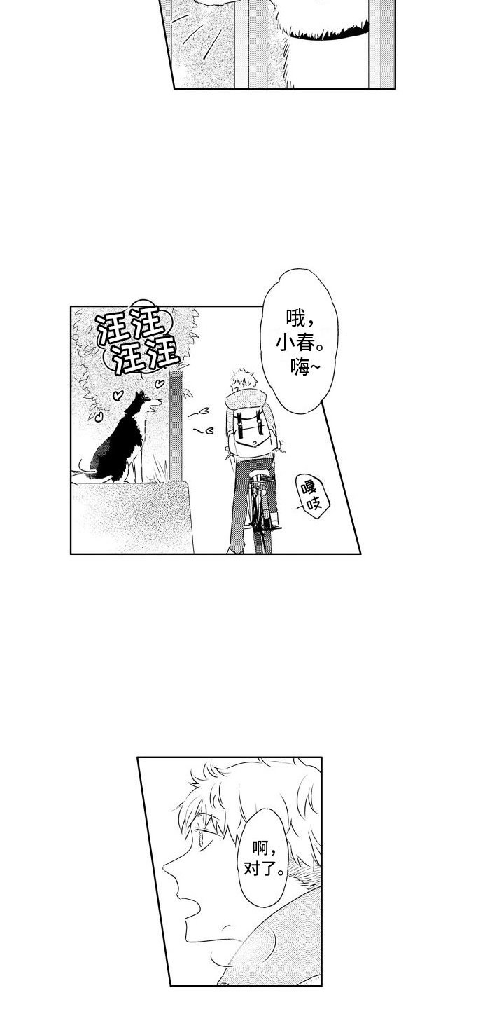 第3章：三花猫