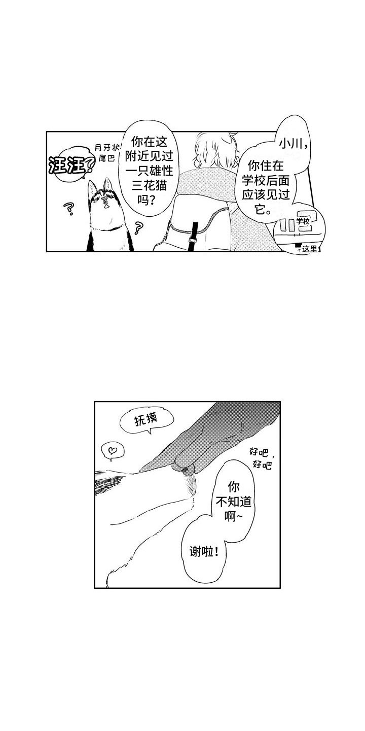 第3章：三花猫
