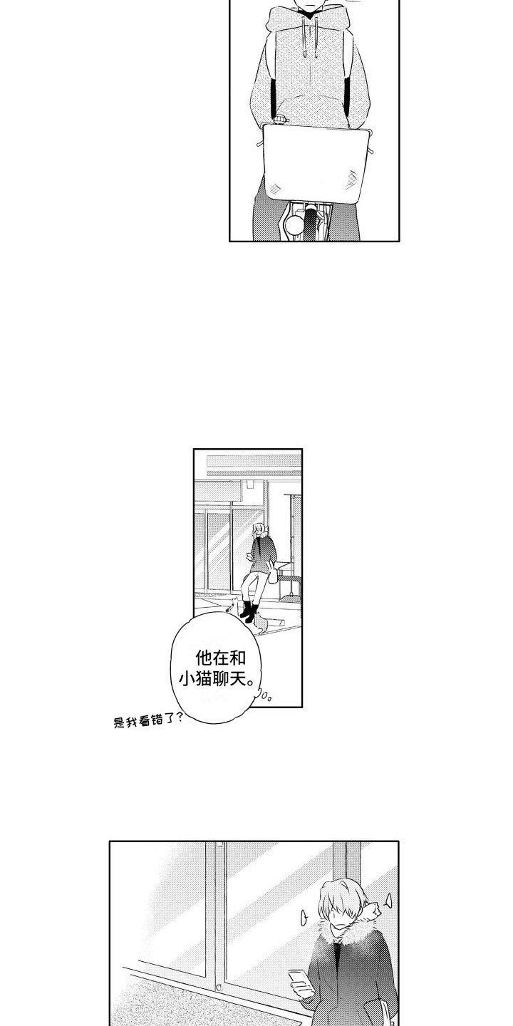 第3章：三花猫