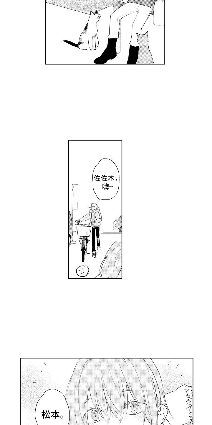第3章：三花猫