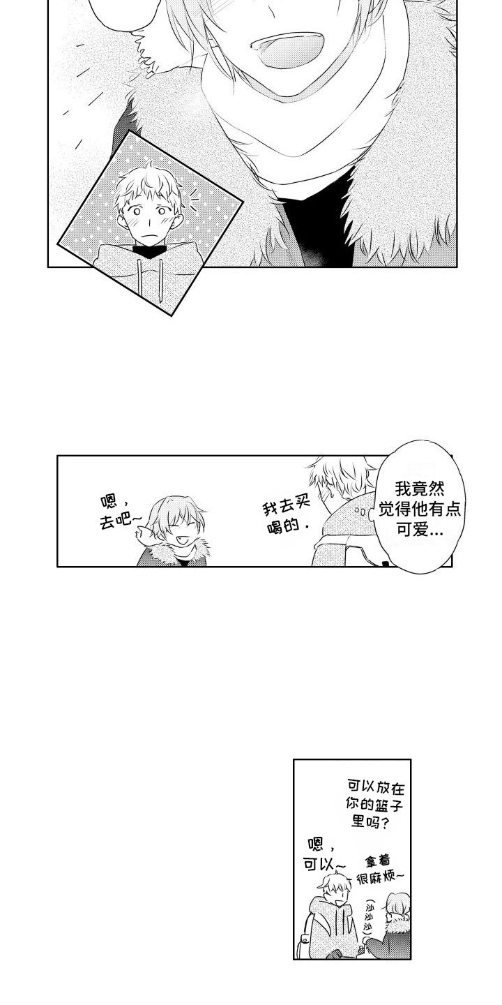 第3章：三花猫