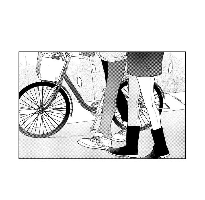 第3章：三花猫