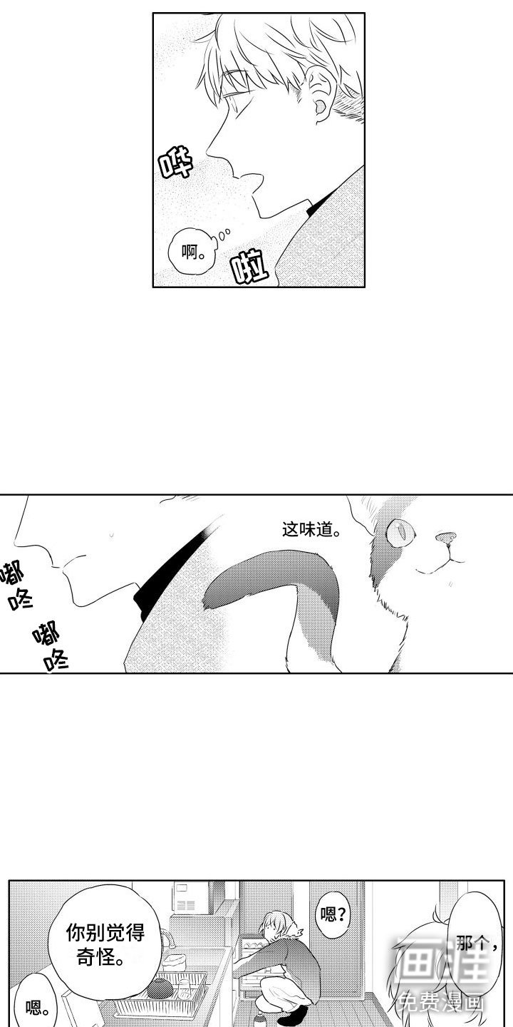 第4章：味道