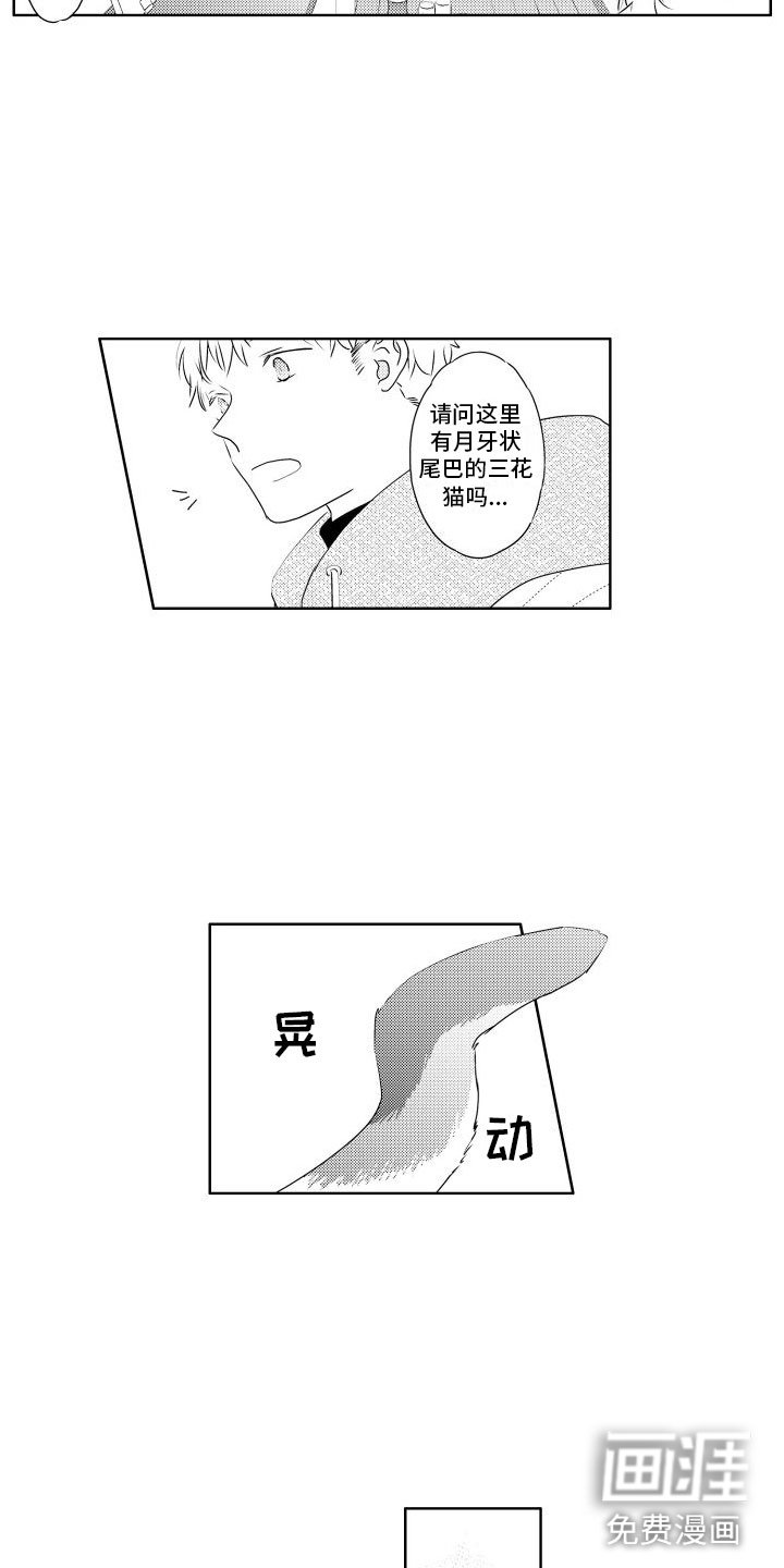 第4章：味道