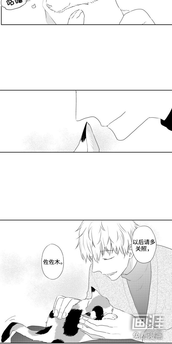 第6章：想看狗狗