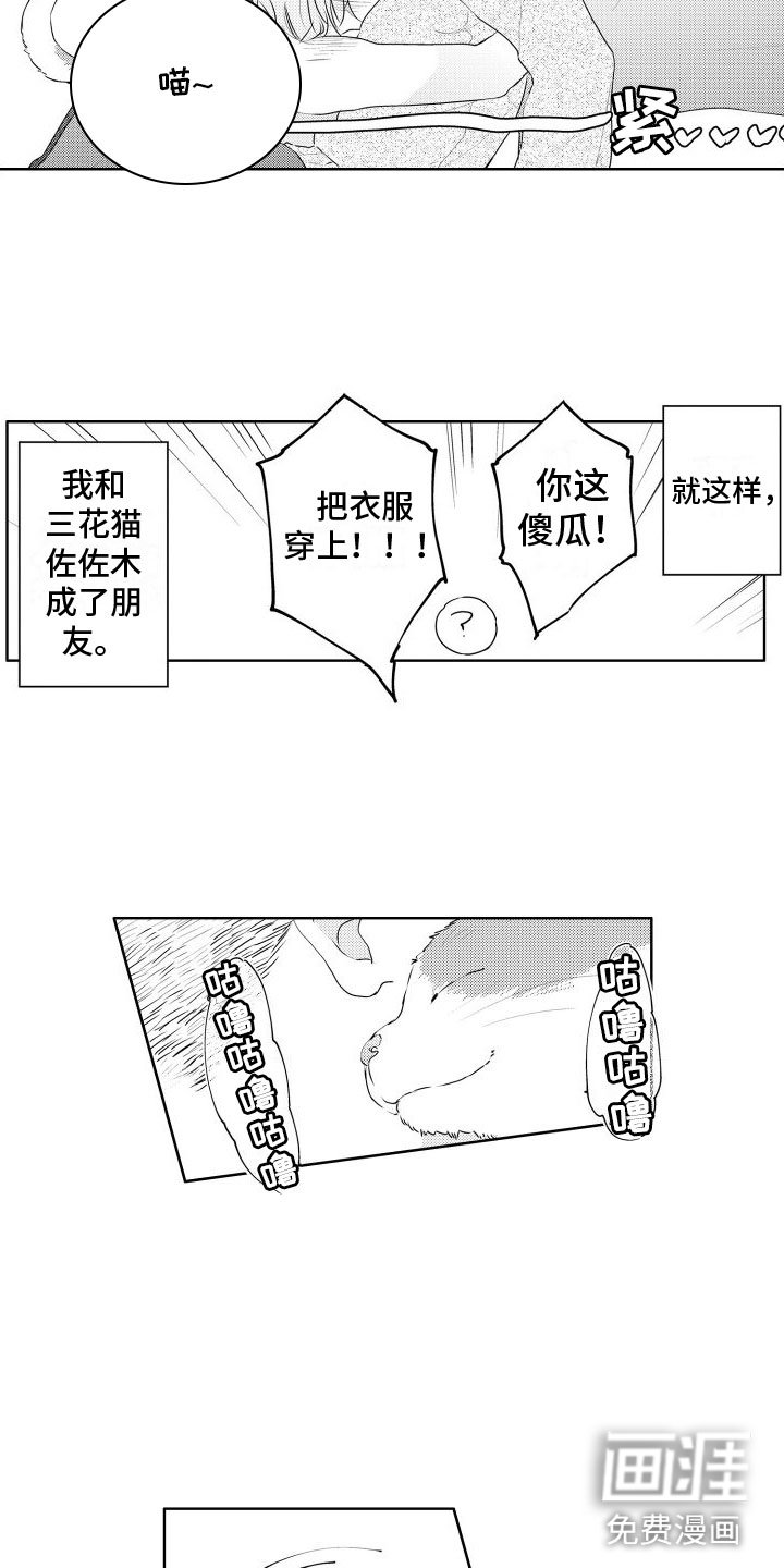 第6章：想看狗狗